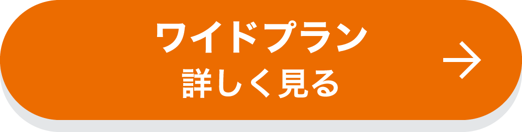 ワイドプラン　詳しく見る